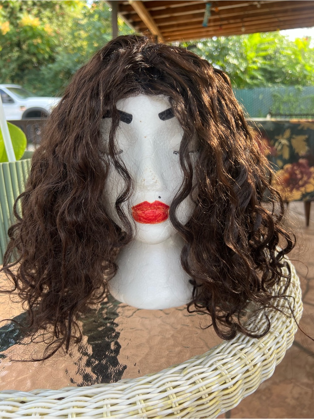 Natural Curly Dark Brown Women's Wig